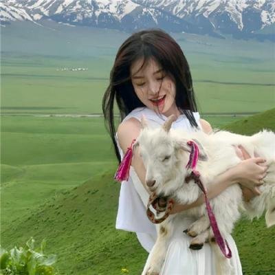 不羁禁爱